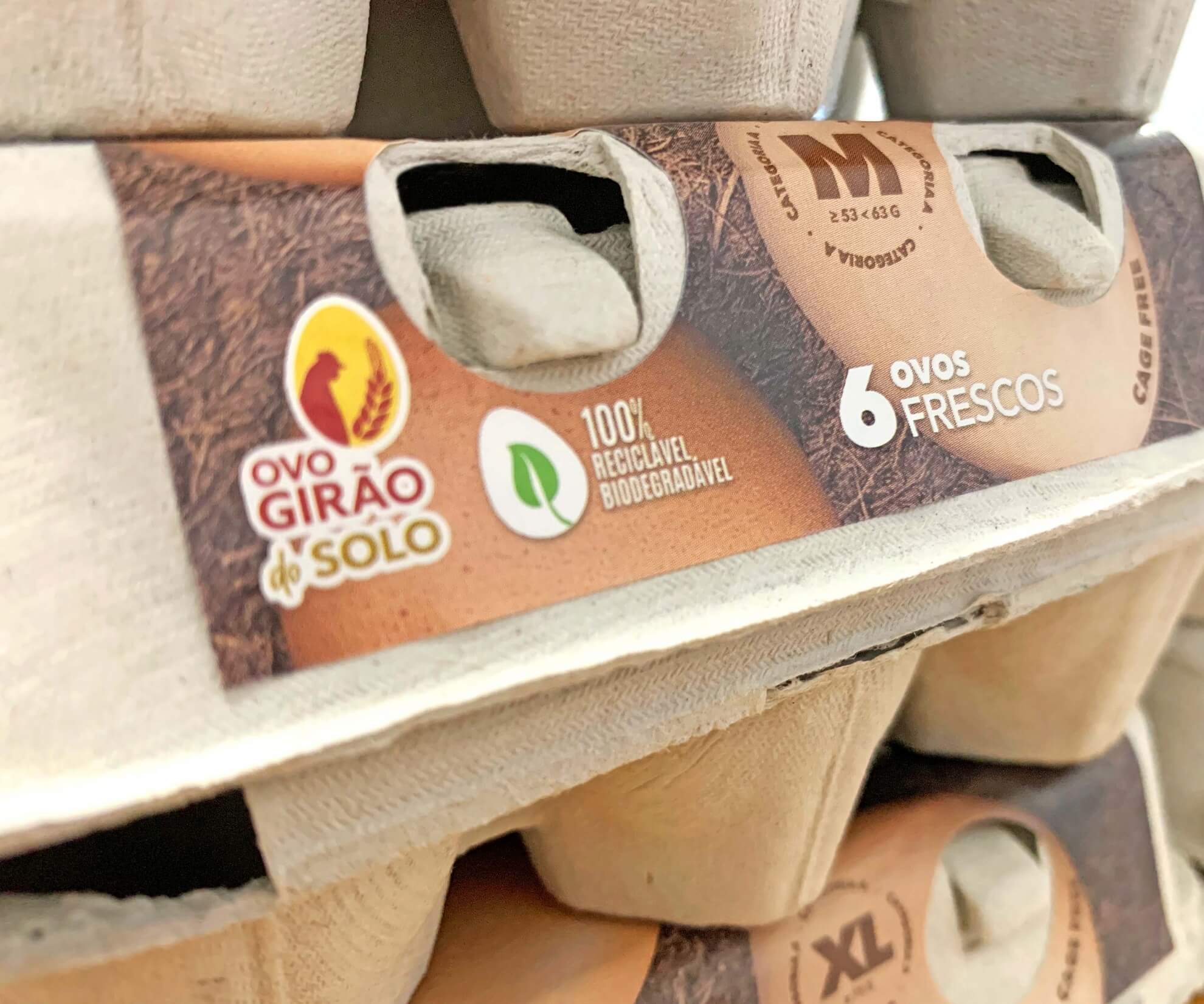 ResponsabilidadeAmbiental