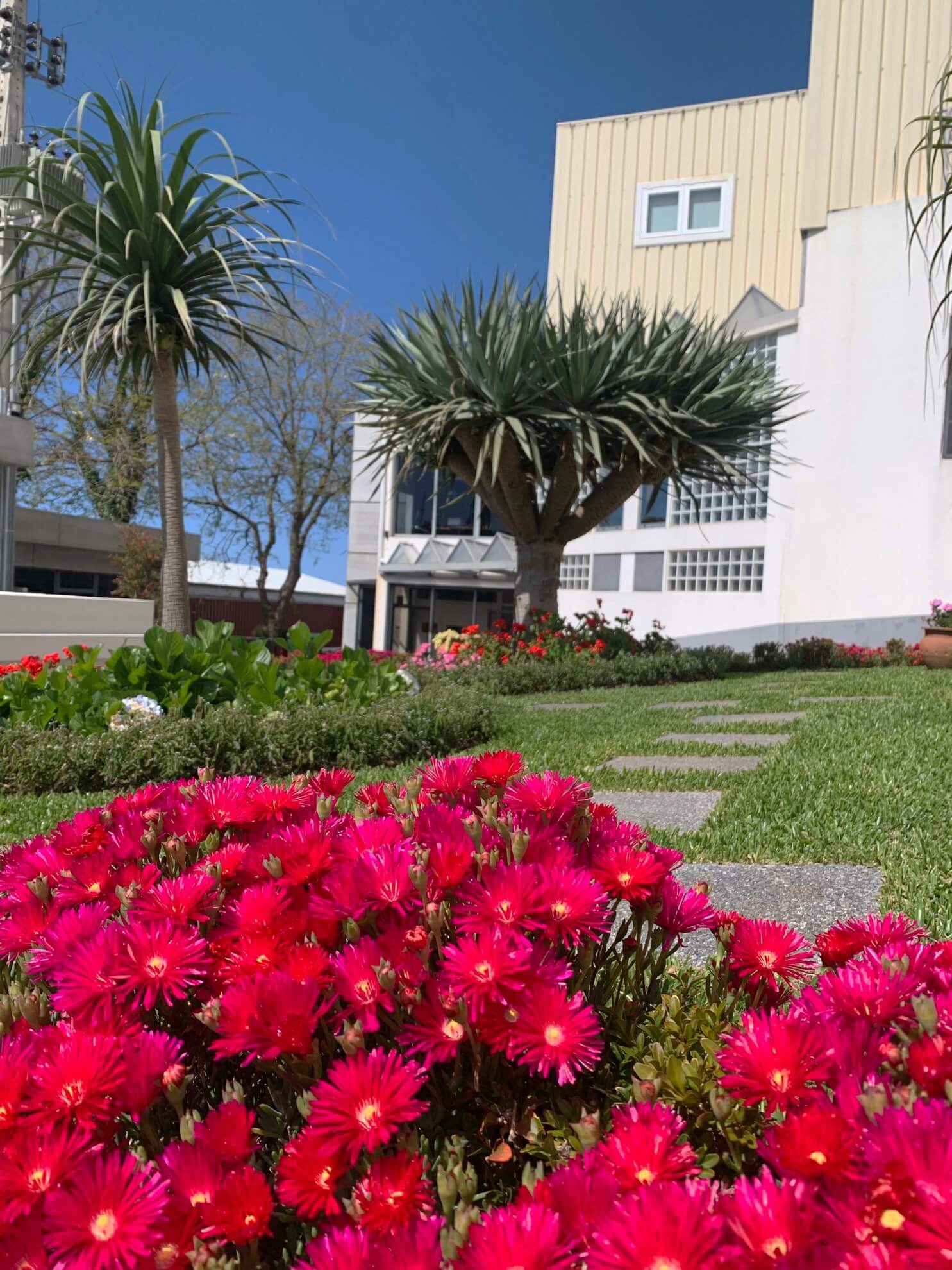 ResponsabilidadeAmbiental